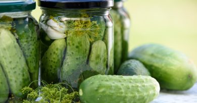 Żywność fermentowana – zdrowa czy zepsuta? Żywność fermentowana – zdrowa czy zepsuta?