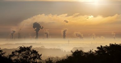Kolejny dowód na związek autyzmu ze smogiem Kolejny dowód na związek autyzmu ze smogiem